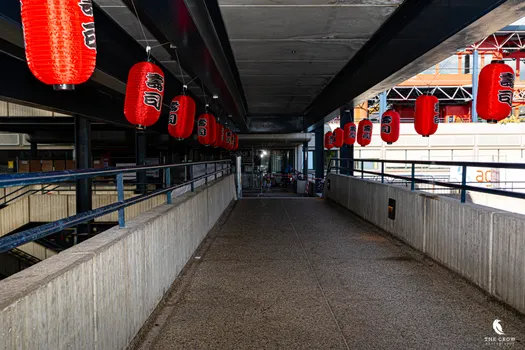 Copyright : Michael Bally